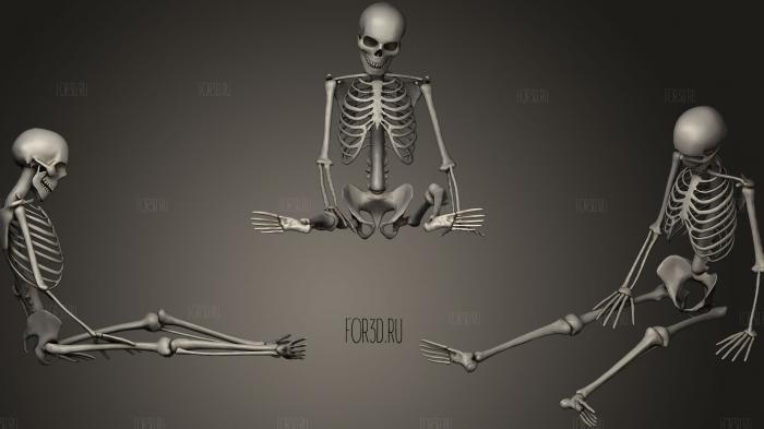 Human Bones Set4 3d stl модель для ЧПУ